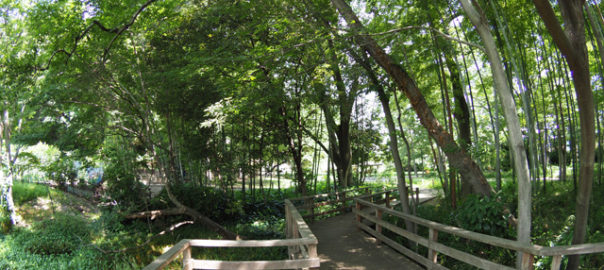 仙波河岸史跡公園